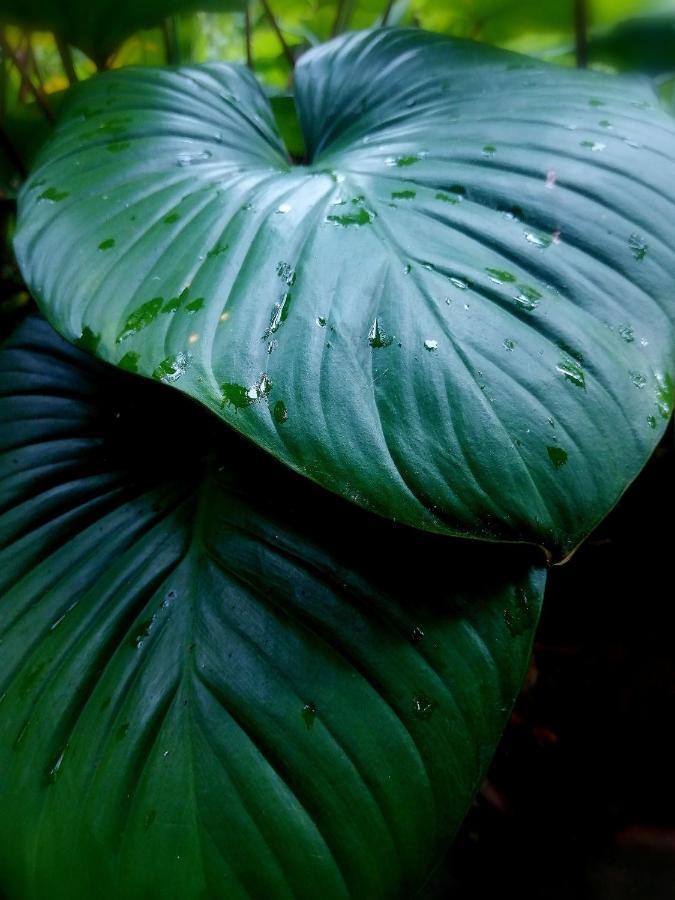 Finca Kobo Palo Seco Zewnętrze zdjęcie