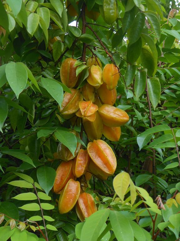 Finca Kobo Palo Seco Zewnętrze zdjęcie